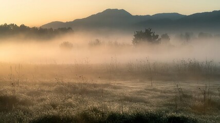 Fototapeta premium Grasslandschaft Mit Nebel