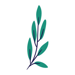 Simple, stylized olive branch with seven leaves in shades of green and blue. Perfect for minimalist designs, branding, and social media graphics.