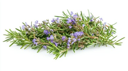A sprig of rosemary with small purple flowers, commonly used in cooking and herbal remedies.