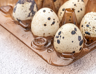 Easter quail eggs.  Spring background with small easter quail eggs. Vintage photo processing