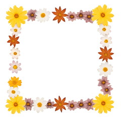 Fototapeta premium autumn frame with flowers