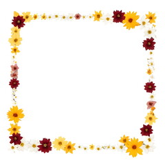 autumn frame with flowers