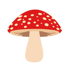 Fly agaric isolated on white background. Autumn mushroom.