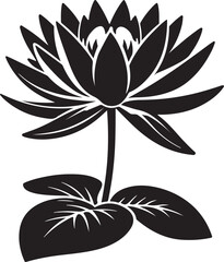 a beautiful water lily flower floral pattern black and white silhouette vector art flat design outline background illustrations