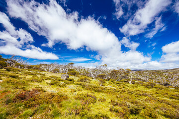 Porcupine Rocks Walk in Australia