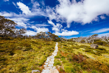 Porcupine Rocks Walk in Australia