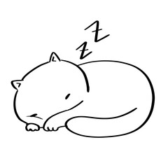 Angry Cat
