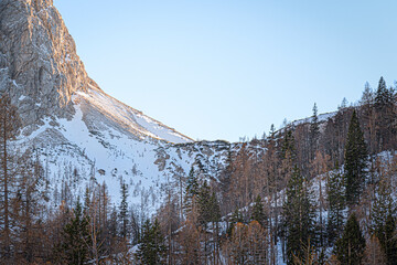 Ice dusted moutain cliffs rise above the tree line up and into the sun