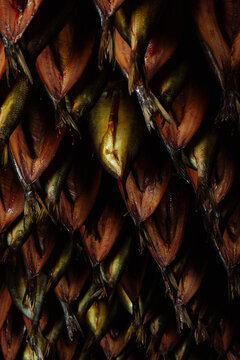 Smoked Kippers