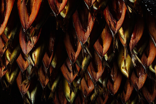 Freshly Smoked Kippers