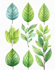 Fototapeta premium Set of spring leaves. watercolor Vector illustration