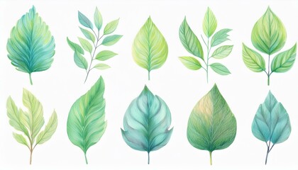 Set of spring leaves.  watercolor Vector illustration