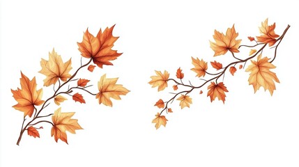 Autumn leaves in warm shades of orange and yellow arranged artfully on a white background