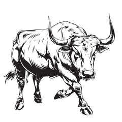 White Bull Images vector. Illustration of a Bull vector image