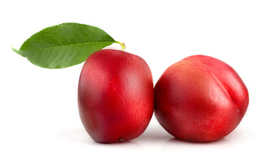 Nectarine fruits isolated on a white background