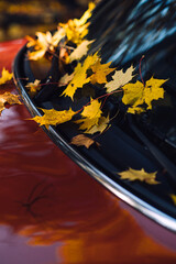 Yellow autumn leaves on red car hood and windshield. Fall season, automotive photography,...