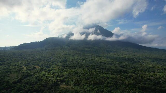 Aerial drone shot of a vast lush jungle of cocunut trees in Flores island, Indonesia, with Ile Mandiri high volcano behind in the background, surrounded by some clouds, with a blue sky behind.
