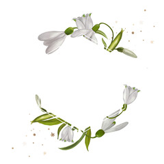 Aesthetic flower png frame, transparent background