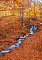 Mountain river in autumn forest. autumn landscape.