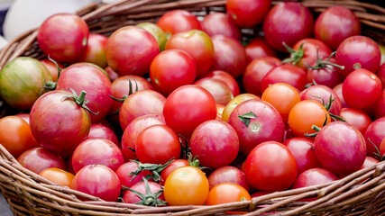 Freshly harvested ripe tomatoes displayed in a rustic basket from a local farmer’s market