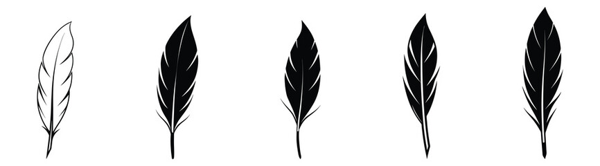 Set of Bird Feather. Feathers vector set in a flat style. Pen icon. Black quill feather silhouette. Plumelet collection isolated on white background vector EPS10