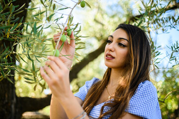 Young farmer woman checking olive branch in olive tree field