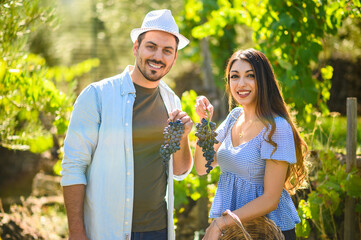 Happy couple of farmers showing bunches of grapes during wine harvest
