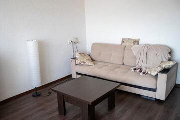 Shot of the sofa in the small room. Interior design