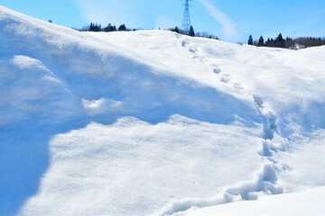 池ケ原の雪景色（新潟県）