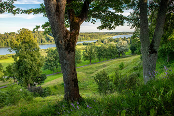 Lake Viljandi in Estonia, seen from above park. Lush valley with lake on beautiful sunny summer day. 
