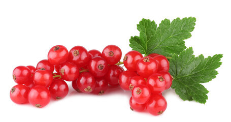 Currant berries isolated on a white background