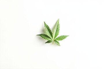 AIS image of a green leaf of a cannabis inflorescence on a white background