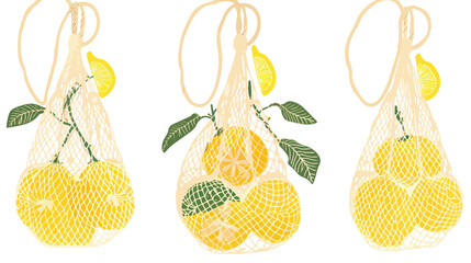 Stylish Macrame Bag with Fresh Lemons on Natural Cotton Net Bag