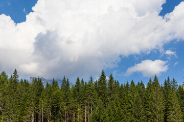 Walking near Cortina d'Ampezzo - Italy