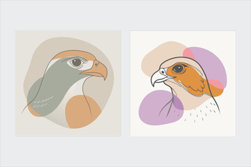  Falcon vector illustration