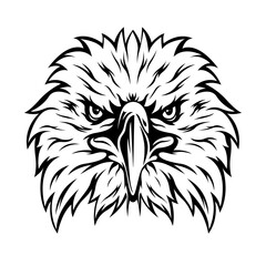Eagle | Eagle Face | Eagle Head | Bald Eagle Face | Bird Prey | Bird King | Wild Animal | Predator Animal | Original Illustration | Vector and Clipart | Cutfile and Stencil