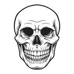 Fototapeta premium Vintage human skull concept Vector illustration