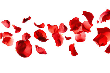Flying red petals in the air, beautiful floral levitation isolated on transparent background.