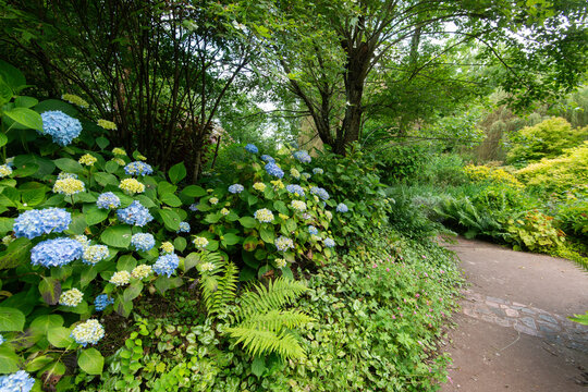 Jardin Van Beek, Saint Paul, Oise, 60, France