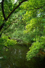Rivière La Vonne, Ménigoute, Deux Sèvres, 79, France