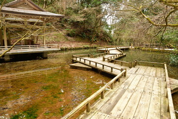 Fototapeta premium 加茂山公園（新潟県）