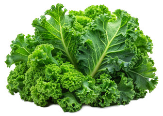 Fresh Kale Leaves on a transparent background.