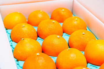 贈答用 の 箱入り みかん 【 柑橘類 の ふるさと納税 の イメージ 】
