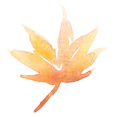 Fototapeta premium Maple png leaf autumn watercolor in orange seasonal graphic