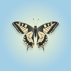 Yellow butterfly on blue background.