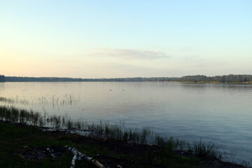 sunset over the lake. A calm surface of water at sunset, with trees and bushes on the horizon