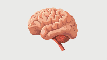 Human Brain on Gray Background: Neuroscience, Science and Research Concept