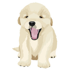 Golden retriever png puppy illustration, sticker in transparent background