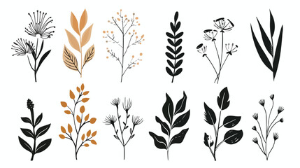 Trendy Abstract Floral Minimalist Botanical Branch