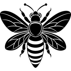 Fototapeta premium Animals silhouette vector image